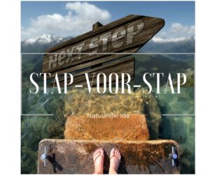 leefstijl programma stap voor stap