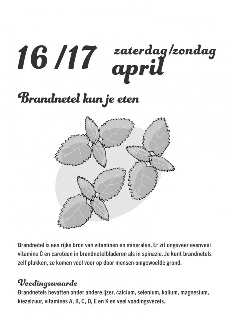 plantaardige recepten scheurkalender