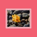 Veerkracht: de stille kracht die je helpt om sterker uit moeilijke tijden te komen